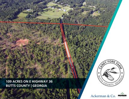 Undeveloped Land in Butts County, Georgia