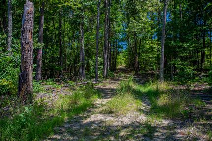 Property in Mecklenburg County, Virginia