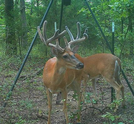 Hunting Land in Pittsburg County, Oklahoma