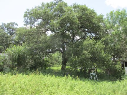 Property in Medina County, Texas