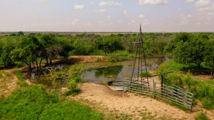 Farm Property in Hardeman County, Texas