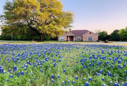Timberland Property in Bosque County, Texas