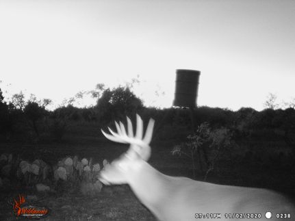 Ranch Property in Hamilton County, Texas