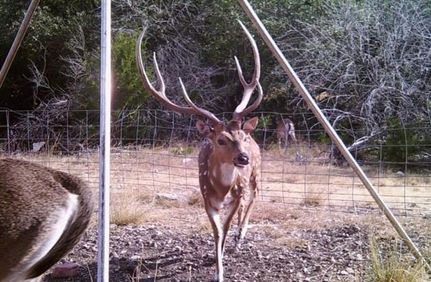 Ranch Property in Edwards County, Texas