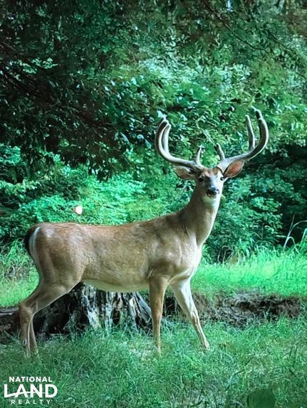 Residential Property in Yazoo County, Mississippi