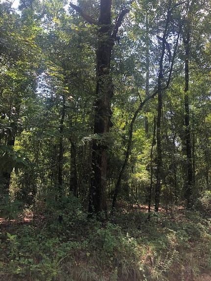 Residential Property for sale in Bulloch County, Georgia