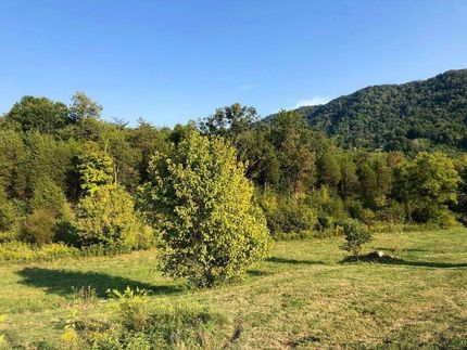 Property in Hancock County, Tennessee