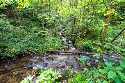 Property in Jackson County, North Carolina