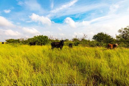 Recreational Property in Fisher County, Texas