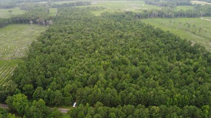 Timberland Property in Cass County, Texas