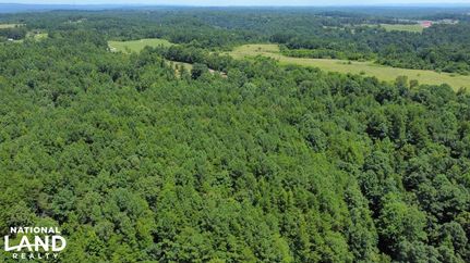Undeveloped Land in Jefferson County, Alabama