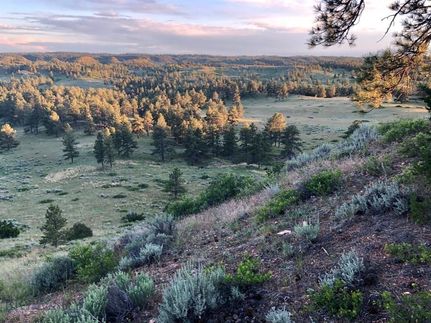 Commercial Property in Custer County, Montana