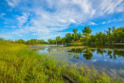 Ranch Property in Hall County, Texas