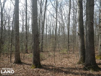 Property in Laurel County, Kentucky
