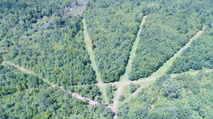 Timberland Property in Coosa County, Alabama