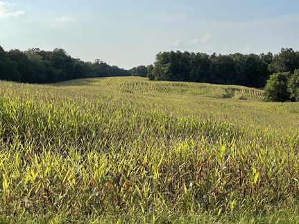 Ranch Property in Lincoln County, Missouri