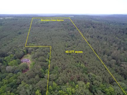 Timberland Property in Cherokee County, Texas