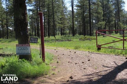 Residential Property in Navajo County, Arizona