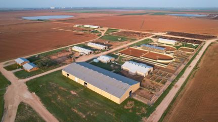Horse Property in Parmer County, Texas