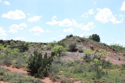 Hunting Land in Hardeman County, Texas