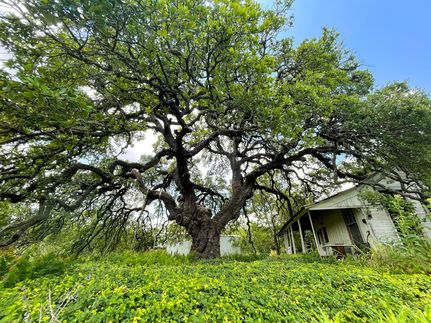 Residential Property in Hays County, Texas