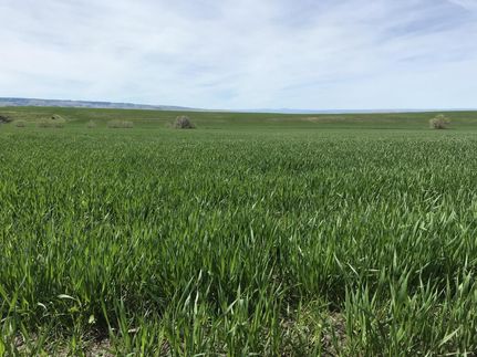 Farm Property in Umatilla County, Oregon