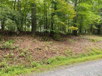 Ranch Property for sale in Gilmer County, Georgia