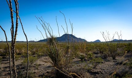 Ranch Property in Brewster County, Texas