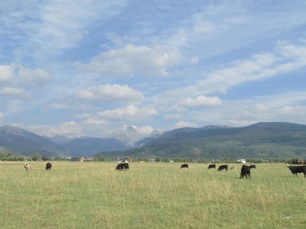 Farm Property in Teton County, Idaho
