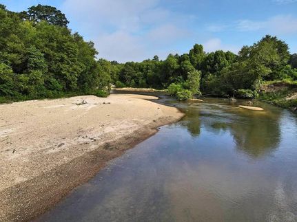 Horse Property in Amite County, Mississippi