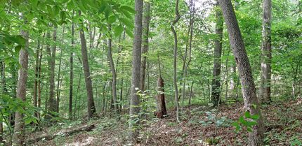 Farm Property in Barbour County, West Virginia