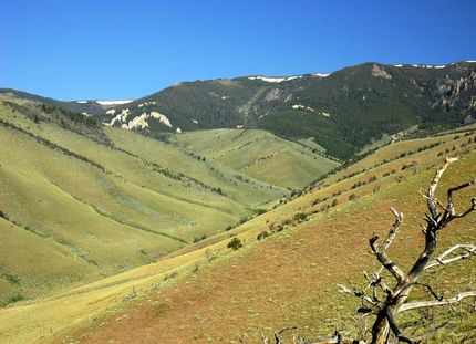 Farm Property in Carbon County, Montana