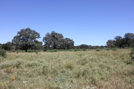 Ranch Property in Angelina County, Texas