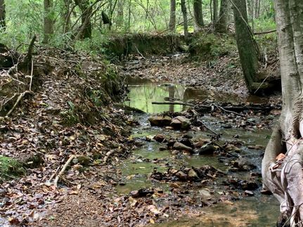 Timberland Property in Carroll County, Georgia