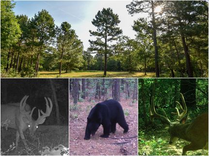 Farm Property in Cherokee County, Oklahoma