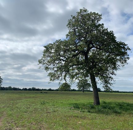 Farm Property in Bastrop County, Texas