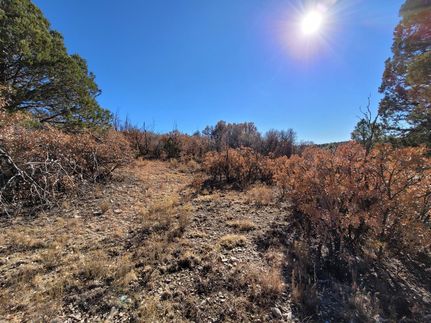 Farm Property in Otero County, New Mexico