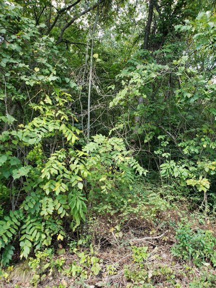 Recreational Property in Grainger County, Tennessee