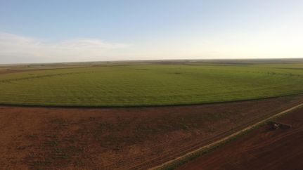 Farm Property in Castro County, Texas
