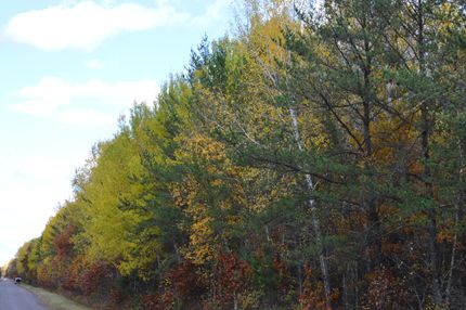 Hunting Land in Burnett County, Wisconsin
