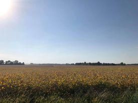 Waterfront Property in Fountain County, Indiana