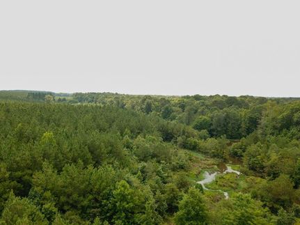 Hunting Land in Grant County, Arkansas