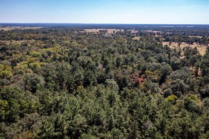 Ranch Property in Madison County, Texas