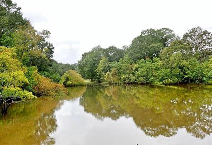 Farm Property in Marion County, Mississippi