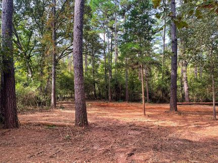 Farm Property in Leon County, Texas