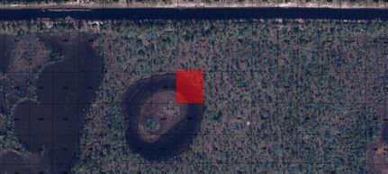 Farm Property in Martin County, Florida