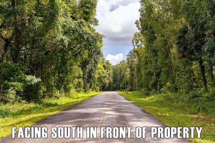 Farm Property in Dixie County, Florida