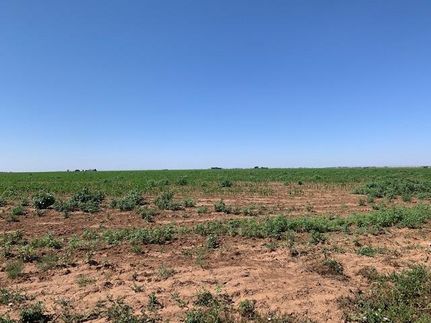 Property in Lynn County, Texas