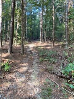 Recreational Property in Chattooga County, Georgia
