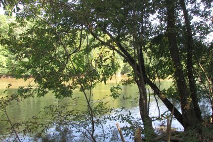 Timberland Property in Richland County, South Carolina